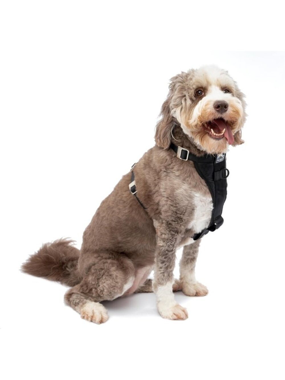 Large Adjustable Dog Harness - Enhanced Strength, No-Pull Design, Black